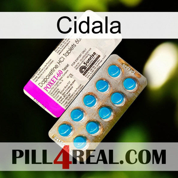 Cidala new07.jpg